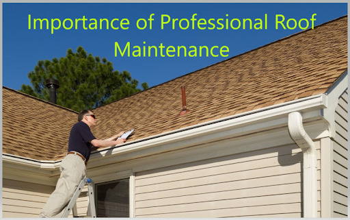 Roof Maintenance